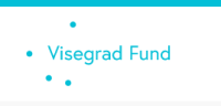Visegrad Scholarship Program