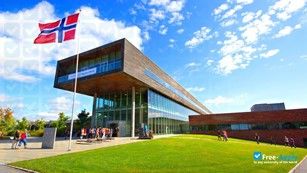 Stypendia Programu Edukacja. Studia częściowe w Norwegii