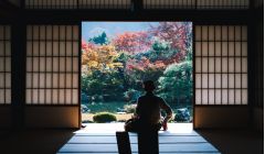 Kierunki studi&oacute;w